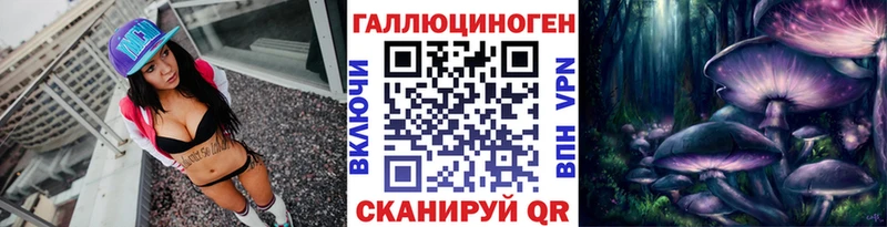 Купить закладки  Вилючинск  Галлюциногенные грибы Psilocybe 